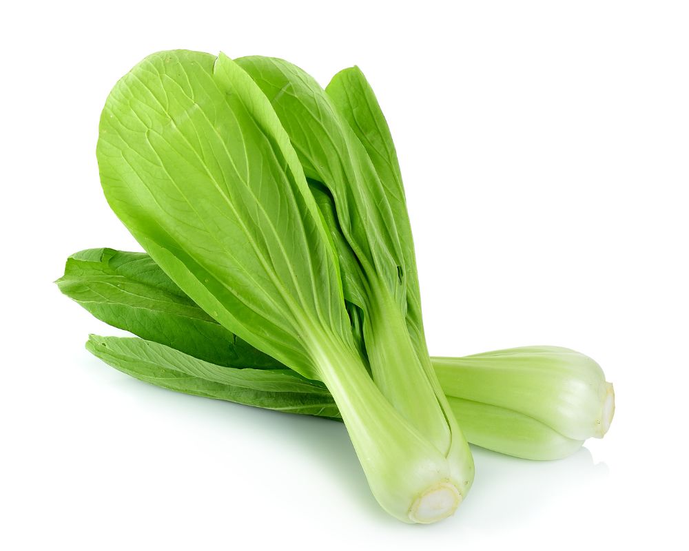 Hong Kong Bok Choy Export