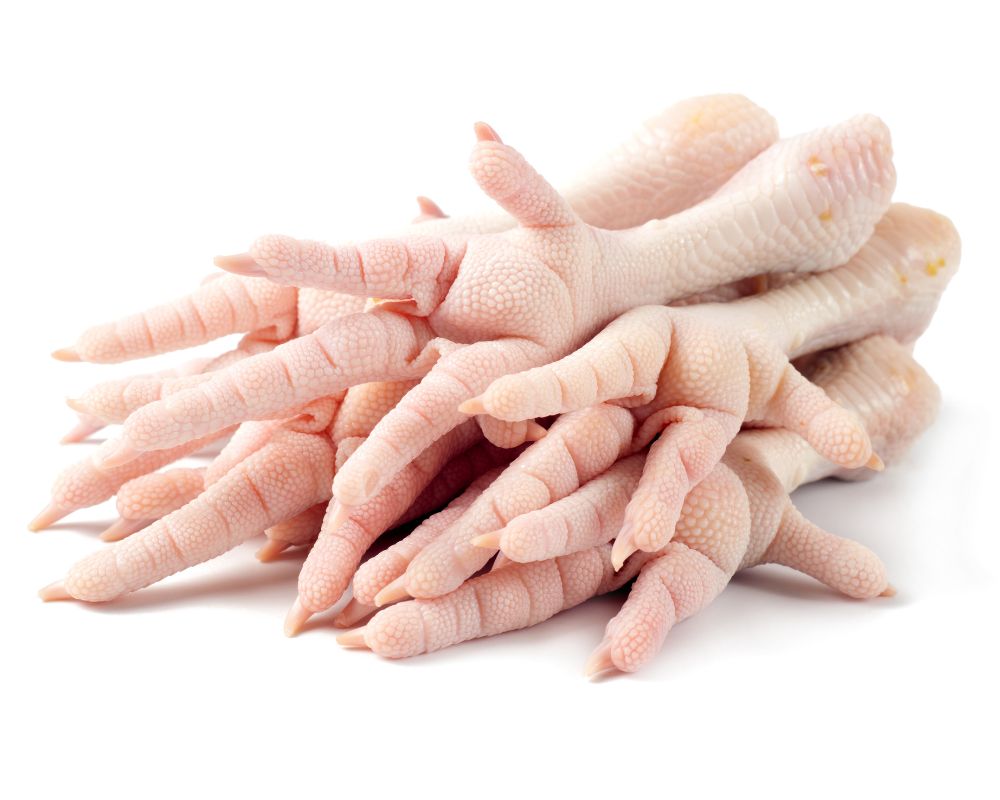 Chicken Paws and Feet