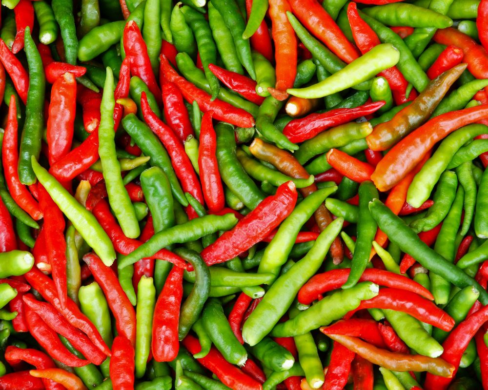 Thai Bird's Eye Chili Export