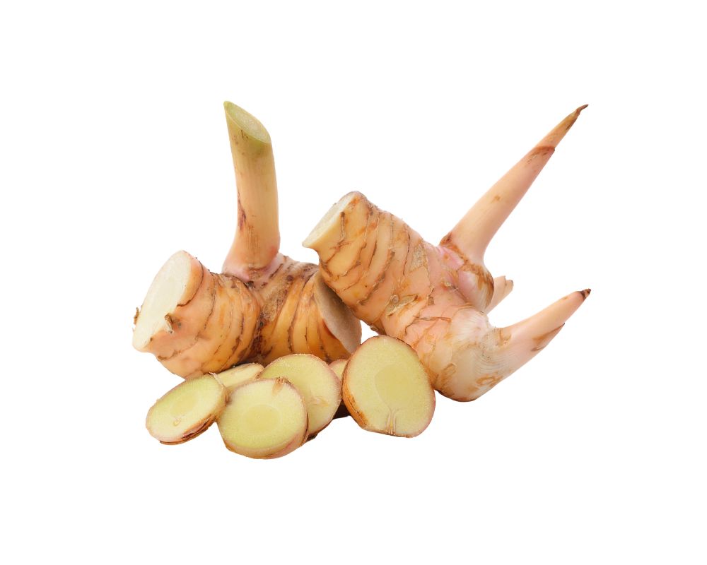 Galangal Root Export