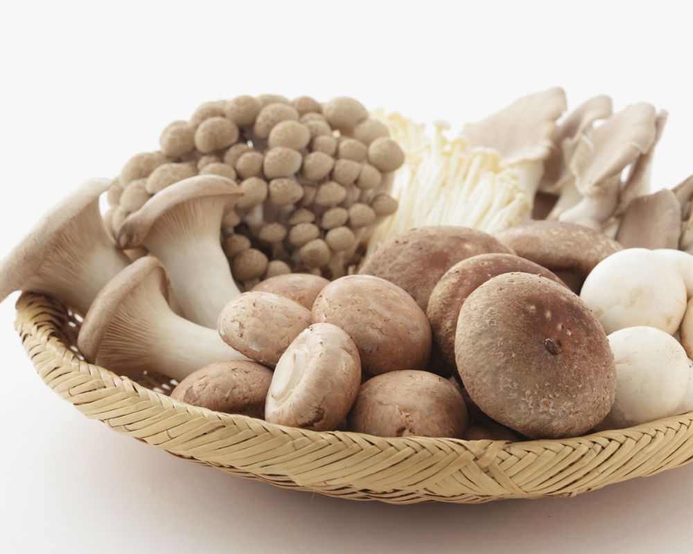 Premium Mushrooms Export