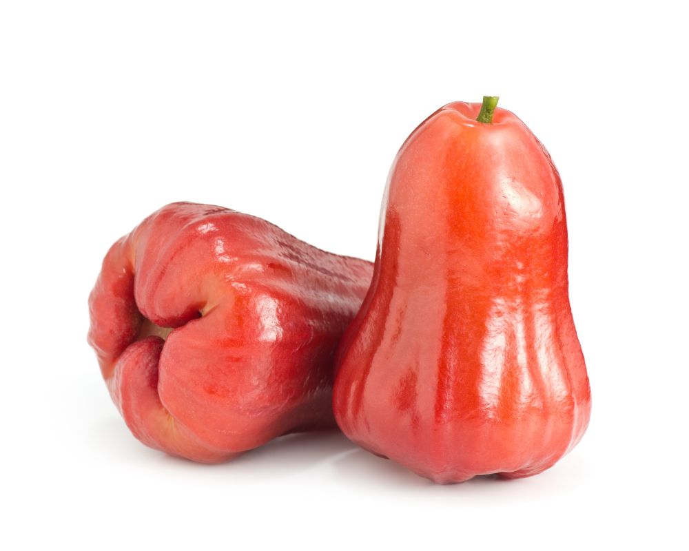 Red Rose Apple