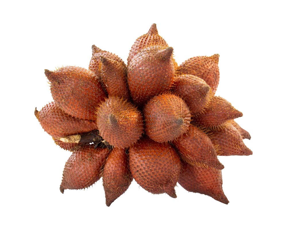 Salak (Snake Fruit)